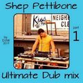 DJJW - Shep Pettibone Ultimate Mix (Section The 80's Part 5)