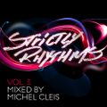 Strictly Rhythms - volume.3 - Michel Cleis (2009)