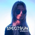 Joris Voorn Presents: Spectrum Radio 073