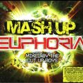 Mash Up Euphoria - Mixed by The Cut Up Boys