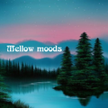 Mellow Moods - Library, jazz and raregroove from the vinyl vaults of Dj Tobias