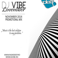 DJ ViBE - Lovember (November 2014 Promotional Mix)