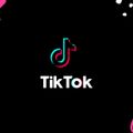 Tik Tok Party Mix Vol.2