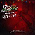 9th Day of Christmas Mixes Vol. 5 w/ DJ Goose