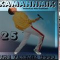 Theo Kamann - Kamannmix 25 (Yearmix 2008)