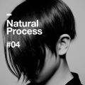 Natural Process #04