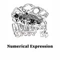 Numerical Expression: Episode 1