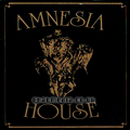Amnesia House 1991 STU ALLEN @ Shelleys - Stoke On Trent