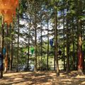 Live at Alfresco Festival :: May 27, 2017 :: t'was a beautiful day in the woods
