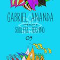Gabriel Ananda Presents Soulful Techno 05 - Gabriel Ananda