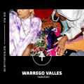 STM 309 - Warrego Valles