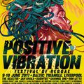 DJ Andy Smith at Liverpool Positive Vibration Reggae festival - 9.6.17