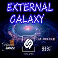 External Galaxy