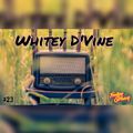 Feeling Groovy Sessions 023 - Mixed By Whitey D'Vine