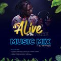Alive In The Park - DJ Victor256
