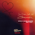 Shawn Mendes & Camilla Cabello vs. Riton - Senorita Turn Me On (Kevin Palmers Rework)