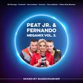 Peat Jr. & Fernando Megamix Vol.2. mixed by BassCrasher (2007)