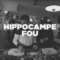 Hippocampe Fou • Live session • LeMellotron.com
