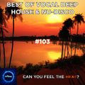 Best Of Vocal Deep House & Nu-Disco #103 - Can U Feel The Heat?