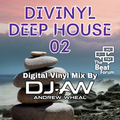 Divinyl Deep House 02