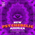 New Psychedelic America One [Expanded Edition]