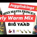 JUGGLIN KINGZ LIVE @BIG YAAD LAWN..EARLY WARM MIX UP