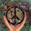 Peace Warrior vs Soul Sculptor_ Space trip with the Tribe of the new age  _  Happy 2015 MIX
