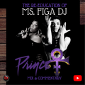 The Re-Education of Ms. Figa DJ - Prince
