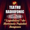 Va ofer: Ora de teatru radiofonic-  Logodnicul -de- Hortensia Papadat Bengescu