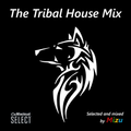 The Tribal House Mix