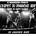 DJ MANUCHEUCHEU PRESENTS L'ESPRIT DU DIMANCHE SOIR ( ROCK & NEW WAVE ) 22 JANVIER 2023