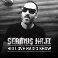 Big Love Radio Show - 08.06.29 - David Morales Big Mix