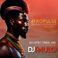 DJ PAULO-AFROPULSE Vol 1 (Afro-Tribal-Chill) Feb 2024