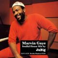 Marvin Gaye Soulful House Music DJ Mix by JaBig - DEEP & DOPE Weekly Wanders #1326
