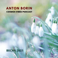 Anton Borin - Cosmos Vibes Podcast (Spring 2021)
