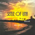 Sense Of UNA by Bekar  ( 08. 01. 2018 )