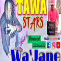 Best of Tawa Stars || WA'JANE || DJ Felixer Kamba Mix