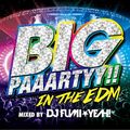 YEAH!BIG PAAARTYY!! IN THE EDM mixed by DJ FUMI★YEAH!
