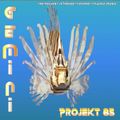Shadow Gemini Projekt 85