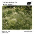 RADIO KAPITAŁ: Too Much to Dream: #12 Wędrówka (2023-06-18)