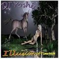 DJ Yoshi Illusion Of Time Vol. 4.5