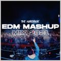 EDM Mashup Mix 2021 - Best Festival Mashups & Remixes of Popular Songs (Last episode of 2021)