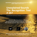 Unexplained Sounds - The Recognition Test # 257