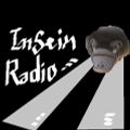 InSein Radio - Sizzling Synth Stuff