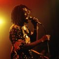 Peter Tosh - Oct.8, 1983, Toulous, France Soundboard Full Show
