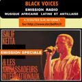 emission de BLACK VOICES spéciale SALIF KEITA & LES AMBASSADEURS RADIO DECIBEL dans le LOT