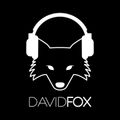 DJ David Fox - Party Mix Part 2