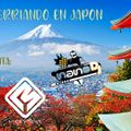 MIX PERRIANDO EN JAPON - DJ MICKY BEAT FT. NANO DJ