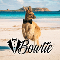 BOWTIE - Virtual Flight to Australia (Flight 90 Livestream Set)