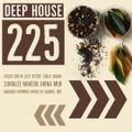 Deep House 225 (Melodic Grooves & Organic House ) Second Journey